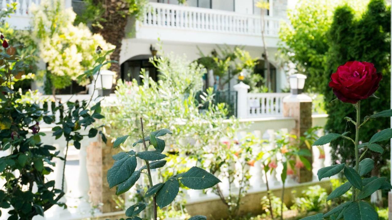Niki Apartments Paralia Dionisiou Eksteriør billede