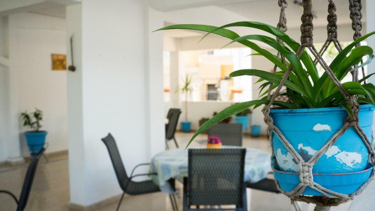 Niki Apartments Paralia Dionisiou Eksteriør billede